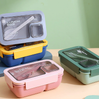 Portable Rectangular Lunch Box 850 ML